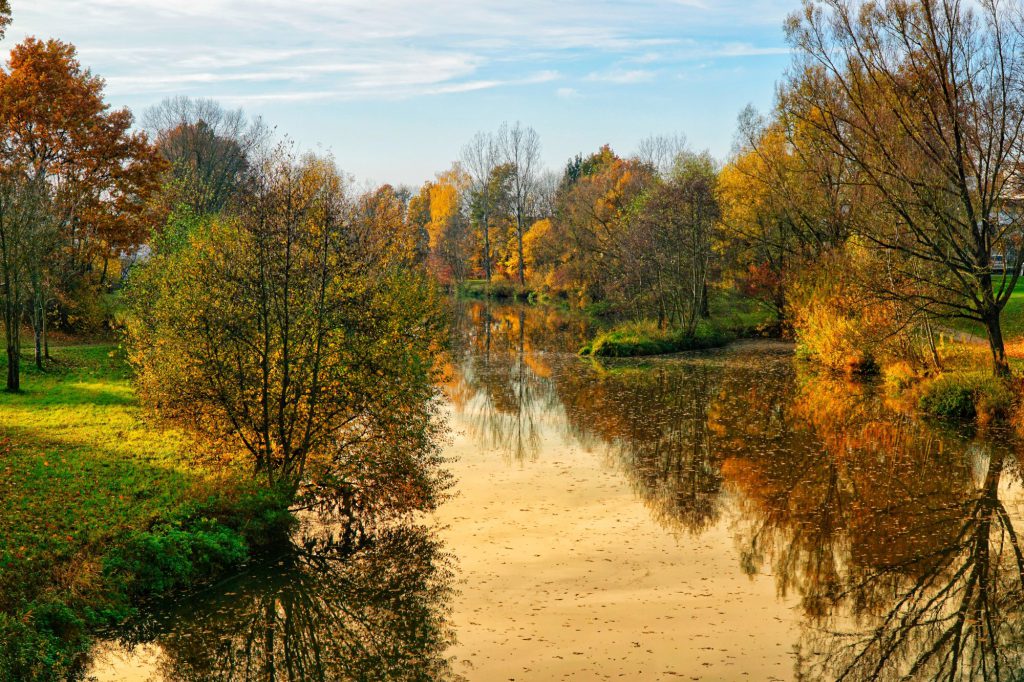 Die Rott in Eggenfelden von der Öttinger Strasse aus im Herbstgewand