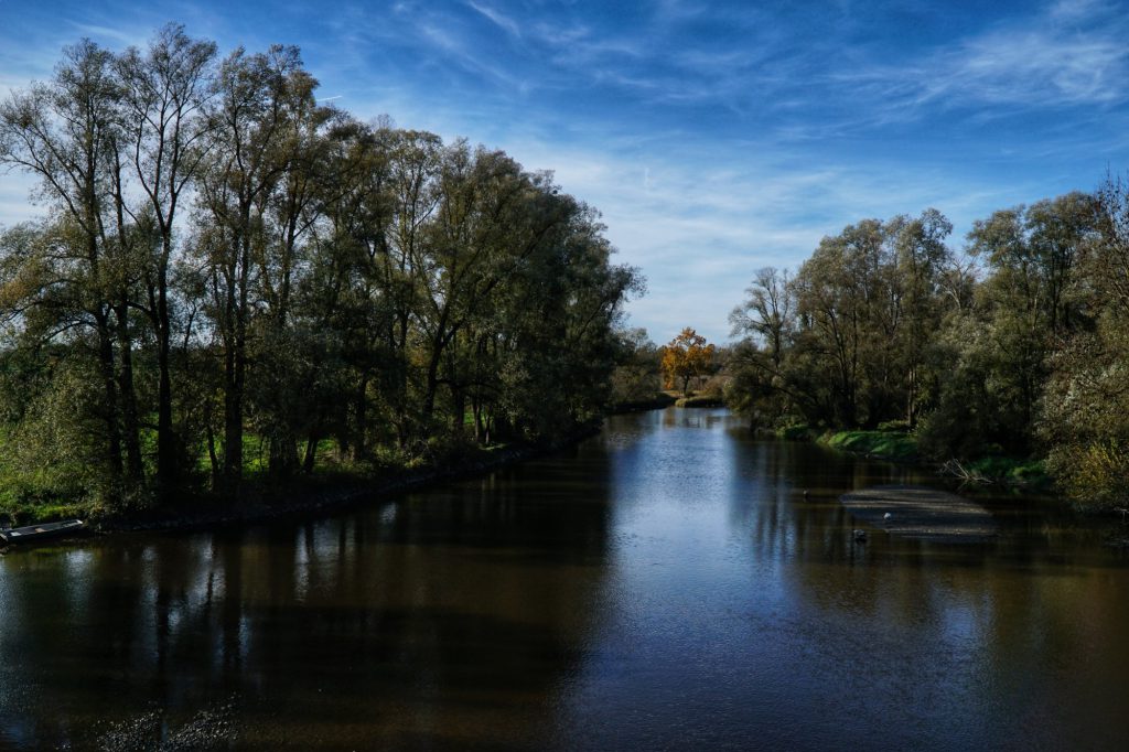 Die Rott bei Mittich kurz vor der Mündung